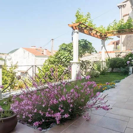 Gaura Dubrovnik