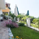 Gaura * דוברובניק